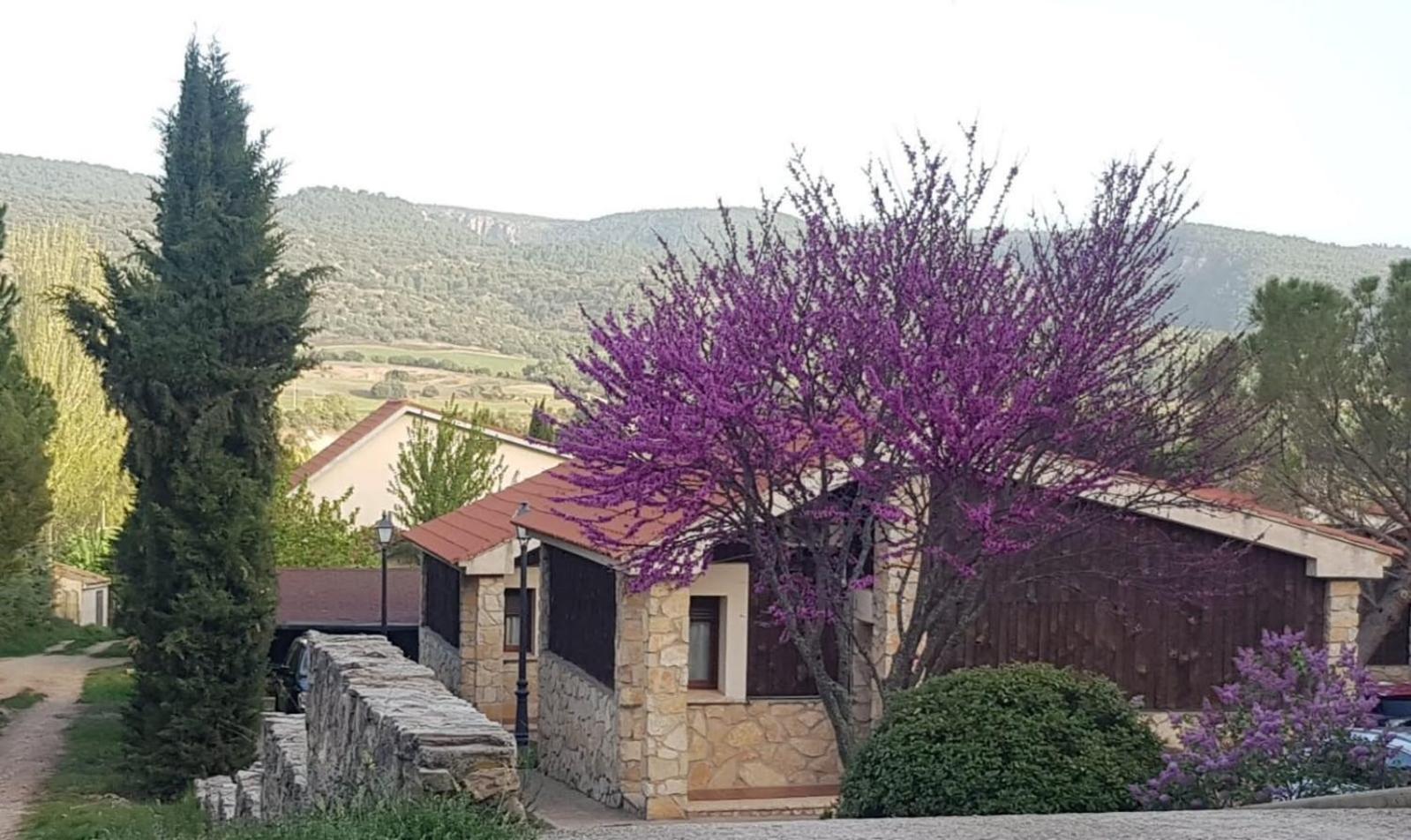 Aventura & Relax Cabanas Pena La Higuera 비얄바 데 라 시에라 외부 사진